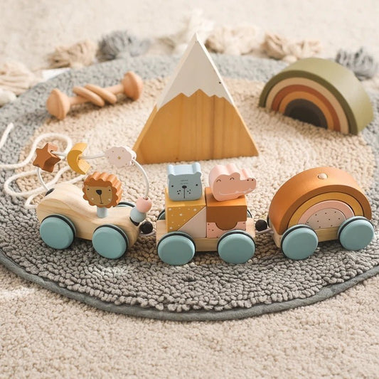 Montessori Wooden Train - Cambout